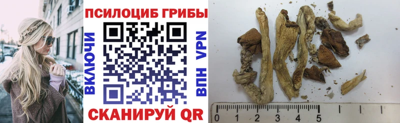 Купить где  Мончегорск  Псилоцибиновые грибы мухоморы 