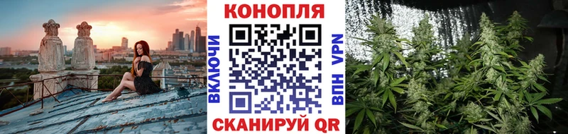Купить где  Мончегорск  Канабис VHQ 